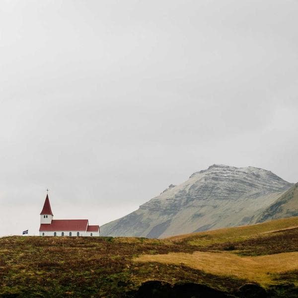 Mushroom Medium Table Lamp