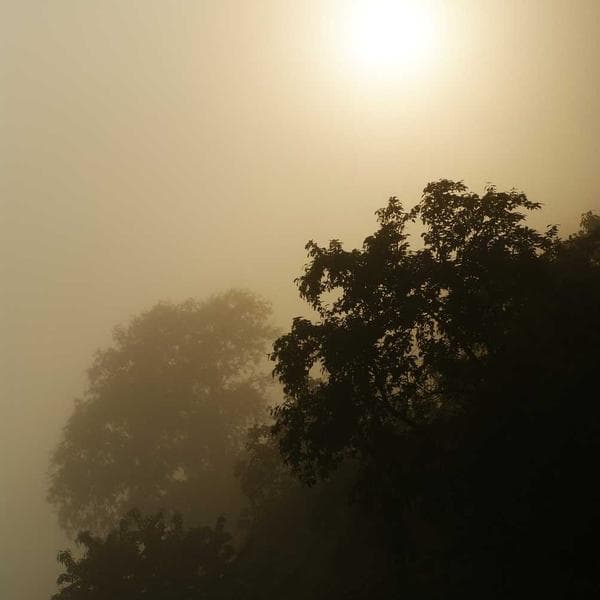 Chameleon Mood Side Table